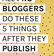 5 things all pro bloggers do after they hit publish by Kyla Roma